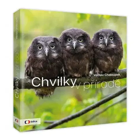 Beletria - ostatné Chvilky v přírodě - Václav Chaloupek