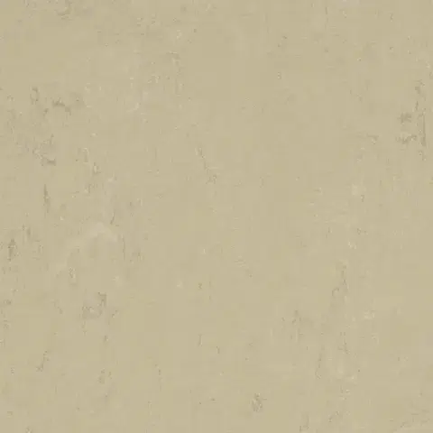 Marmoleum solid concrete FORBO Marmoleum solid concrete Titan 3761