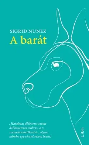 Svetová beletria A barát - Sigrid Nunez