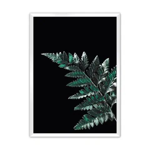 Obrazy Plagát Dark Leaf