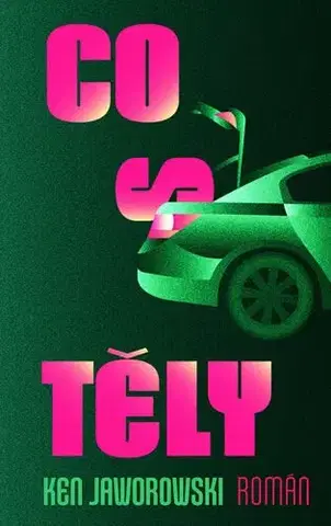 Detektívky, trilery, horory Co s těly - Ken Jaworowski
