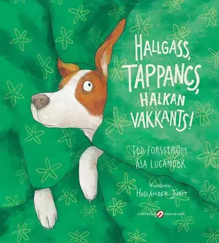 Rozprávky Hallgass, Tappancs, halkan vakkants!