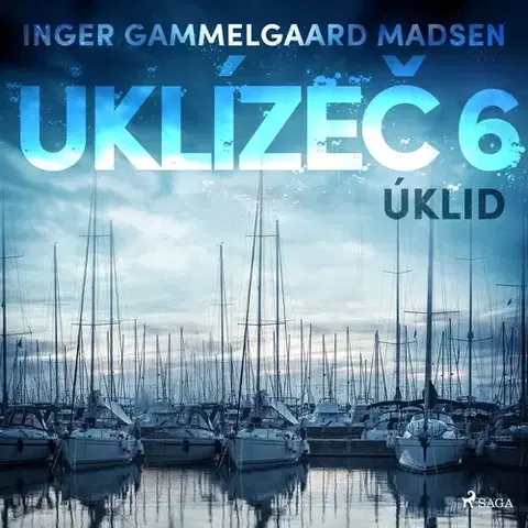 Detektívky, trilery, horory Saga Egmont Uklízeč 6: Úklid