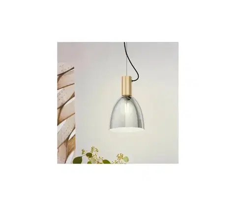 Svietidlá Eglo 99313 - Závesný luster na lanku LEBALIO 1xE27/40W/230V 99313