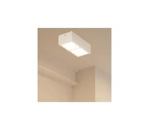 Svietidlá Eglo 95201 - LED Stropné svietidlo COLEGIO 2xLED/4,2W/230V 95201