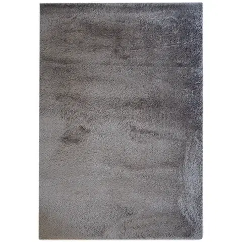 Moderné koberce Koberec Lima 0,7/1,2 LIC3 hnedá