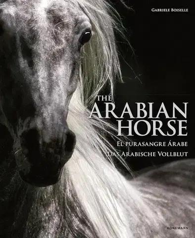 Fotografia The Arabian Horse - Gabrielle Boiselle