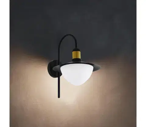 Záhradné lampy Eglo 97285 - Vonkajšie nástenné svietidlo SIRMIONE 1xE27/60W/230V 97285