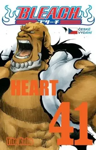 Manga Bleach 41: Heart - Kubo Tite,Anna Křivánková