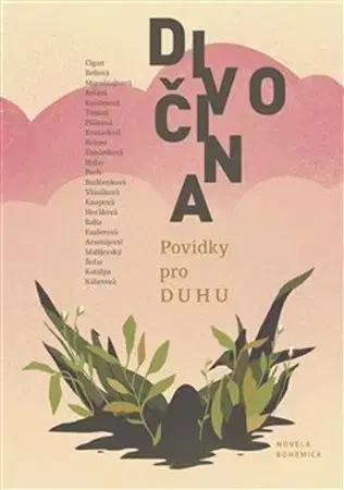 Novely, poviedky, antológie Divočina - Kolektív autorov