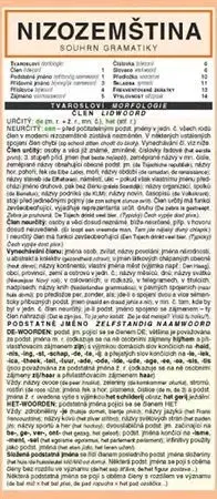 Jazykové učebnice - ostatné Nizozemština - souhrn gramatiky - Pavla Štěchová