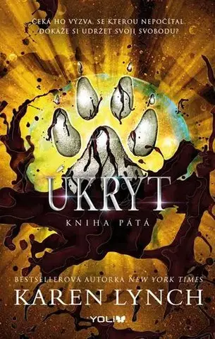 Young adults Úkryt - Kniha pátá - Karen Lynch
