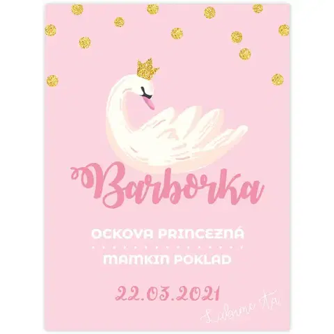 Obrazy do detskej izby Tabuľka pre dieťa s menom - Labutia kolekcia