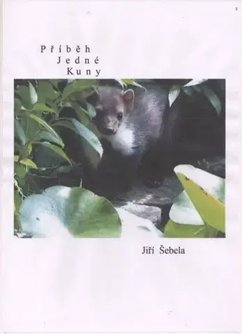 Pre deti a mládež - ostatné Příběh jedné kuny - Jiří Šebela