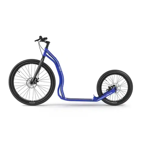 Kolobežky Yedoo Trexx Disc 26/20" blue