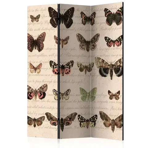 Paravány Paraván Retro Style: Butterflies Dekorhome
