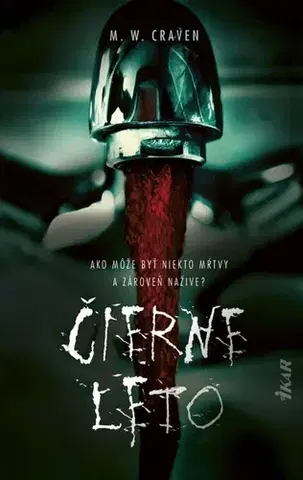 Detektívky, trilery, horory Čierne leto - M. W. Craven,Mariana Ferusová