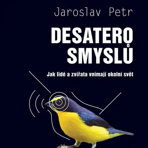 Odborná a populárno-náučná literatúra Tympanum Desatero smyslů