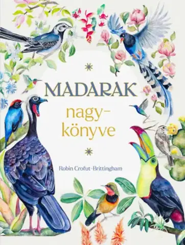 Spoznávame prírodu Madarak nagykönyve - Robin Crofut-Brittingham