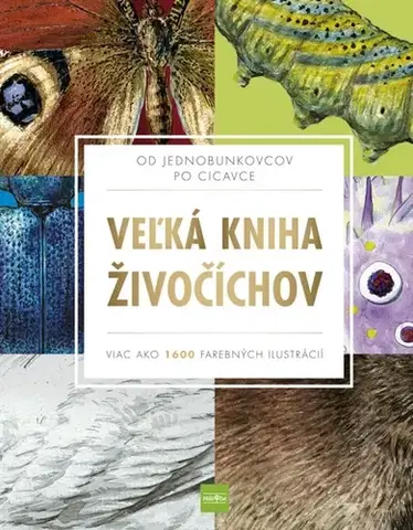 Biológia, fauna a flóra Veľká kniha živočíchov - Kolektív autorov