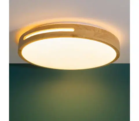 Svietidlá Brilliant - LED Stmievateľné stropné svietidlo WOODBURY LED/24W/230V pr. 39 cm G99496/75