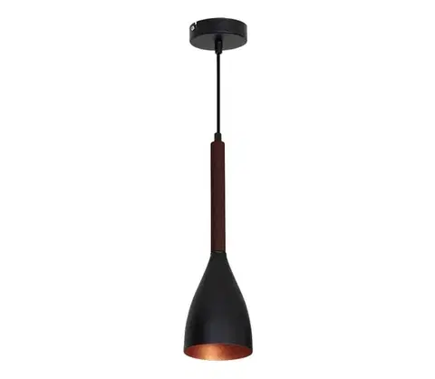 Svietidlá  Luster na lanku MUZA 1xE27/60W/230V 9159