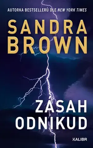 Detektívky, trilery, horory Zásah odnikud - Sandra Brown