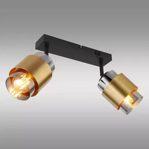 Lampy do obývačky Lampa Milley 15560-2 LS2