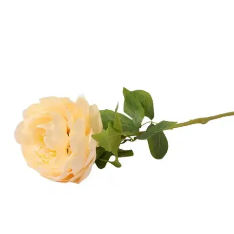 Záhradné dekorácie Iskerník 60cm krémová A2010583