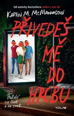 Young adults Přivedeš mě do hrobu - Karen M. McManus