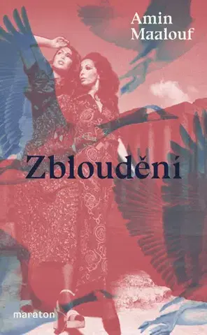 Svetová beletria Zbloudění - Amin Maalouf,Jan Petříček