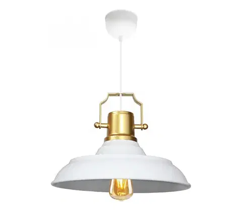 Svietidlá  Luster na lanku AYD 1xE27/40W/230V biela+/zlatá 780SGN4608