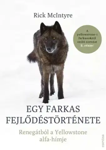 Biológia, fauna a flóra Egy farkas fejlődéstörténete - Rick McIntyre