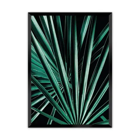 Obrazy Plagát Dark Palm Tree