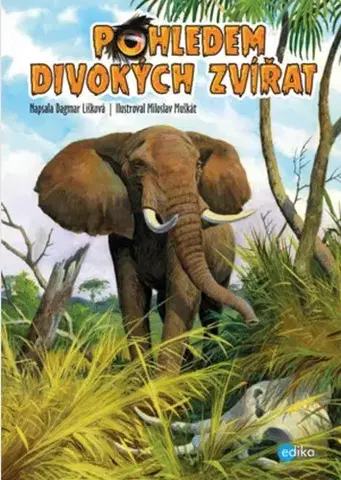 Pre deti a mládež - ostatné Pohledem divokých zvířat - Kolektív autorov