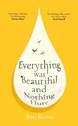 Beletria Everything was Beautiful and Nothing Hurt - Ben Reeves
