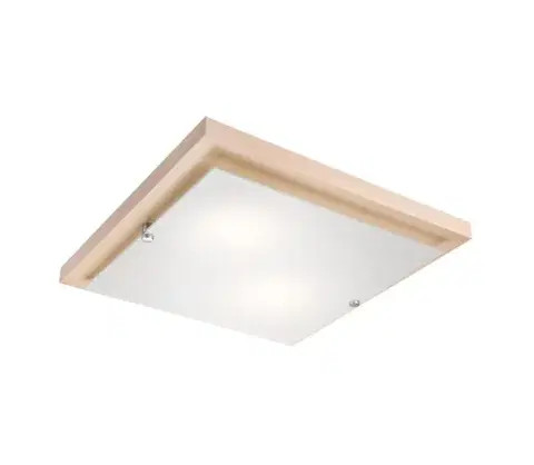 Svietidlá  Stropné svietidlo 2xE27/60W/230V LD PD 7.2