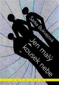 Česká beletria Jen malý kousek nebe - Šárka Bukvajová