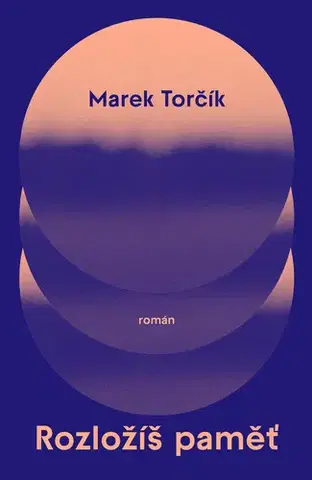 Romantická beletria Rozložíš paměť - Marek Torčík