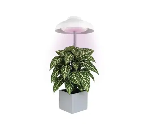 Lampy  LED interiérové svietidlo pre pestovanie rastlín GROW LED/5W/5V Z7901