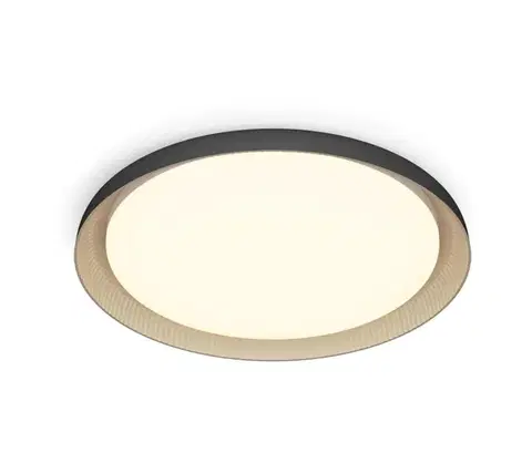 Svietidlá Philips - LED Stmievateľné stropné svietidlo PEBBLO LED/10W/230V 2700K čierna 8720169301092