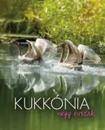 Encyklopédie, obrazové publikácie Kukkónia - Négy évszak - Éva Nagyvendégi,Krisztina Ando