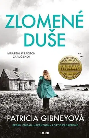 Detektívky, trilery, horory Zlomené duše - Patricia Gibney
