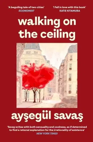 Beletria Walking on the Ceiling - Aysegul Savas