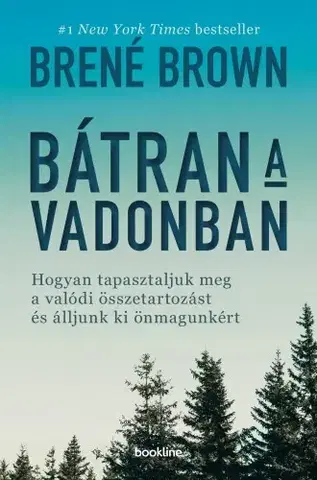 Rozvoj osobnosti Bátran a vadonban - Brené Brown