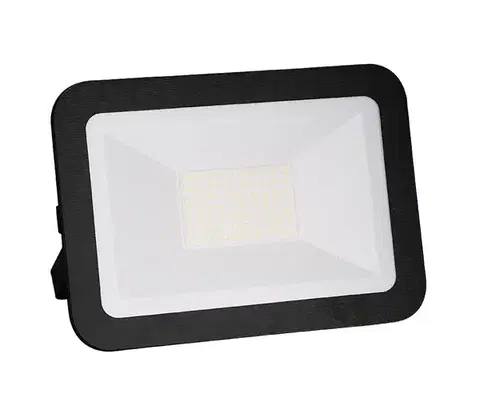 LED osvetlenie  LED Reflektor LED/50W/230V IP65 LF2024