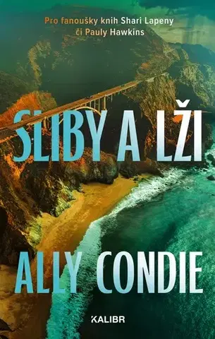 Detektívky, trilery, horory Sliby a lži - Ally Condie