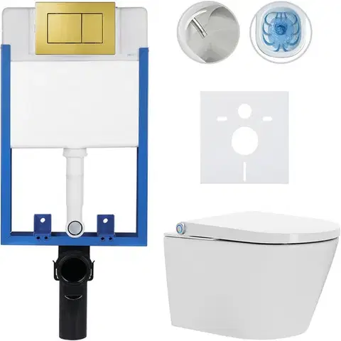 Záchody CERANO - Kompletní WC set Profi/Cronus Standard - bílá lesklá - WC tlačítko Classic/Zlatá - pro zazdění - 59,3x38,4  CER-100608