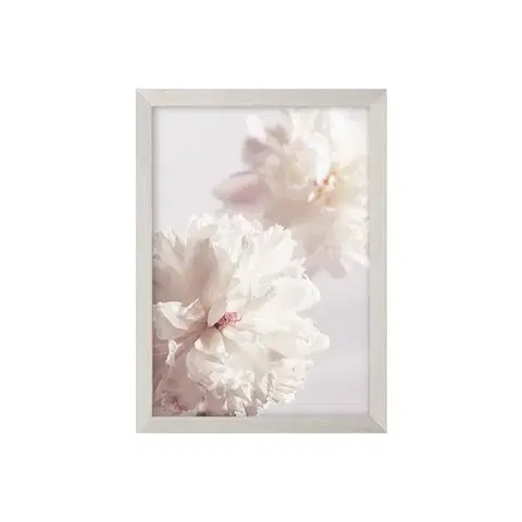 Obrazy Obraz Peony II 21x30cm silver