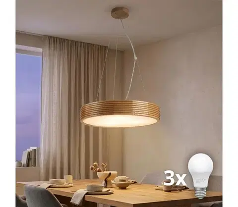 Svietidlá BRILAGI - LED luster na lanku CARVALHO MODERN 3xE27/60W/230V dub pr. 47,5 cm 8590828039365
